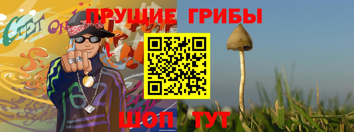 Рязань  Псилоцибиновые грибы GOLDEN TEACHER  Вход с VPN  Галлюциногенные грибы Magic Shrooms 